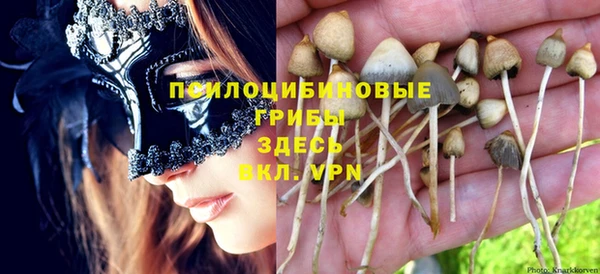 твердый Нефтегорск