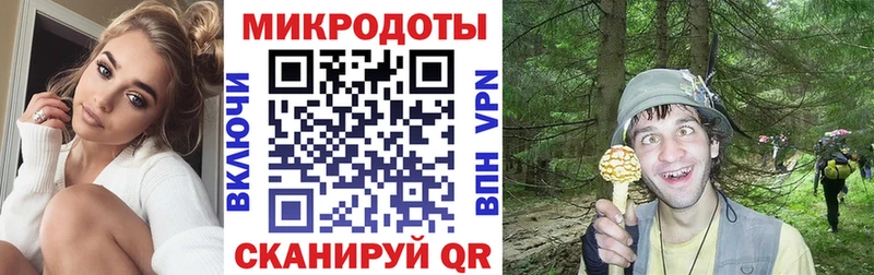 даркнет клад  Тарко-Сале  Галлюциногенные грибы ЛСД  omg  